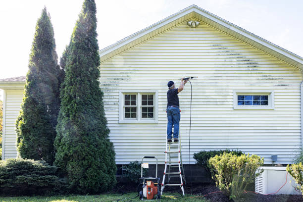 Animal Enclosure Cleaning in Fairmount, CO